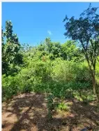 Land for lease in Pecatu - Image 4 of 10