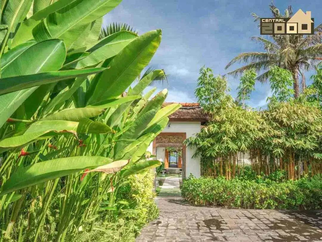 For sale spacious Beach front villa with nice garden di Seririt, Singaraja - Image 8 of 10