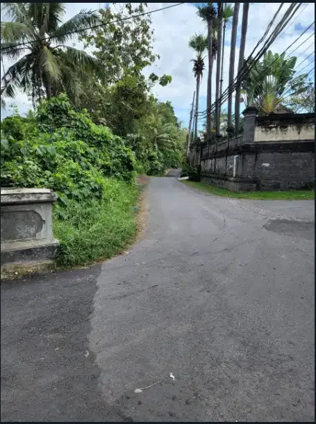 Disewakan tanah murah 4 hektar di Gianyar - Image 9 of 10