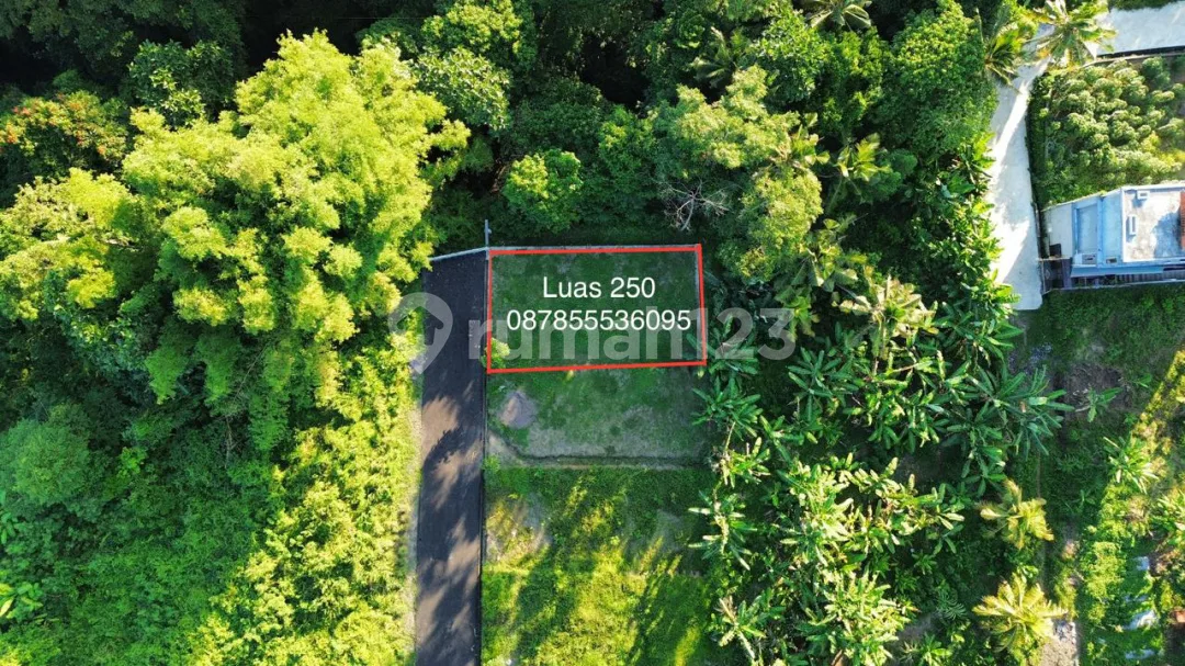 Dijual Lahan Premium View Sungai & Lembah - Dekat Ubud - Image 1 of 4