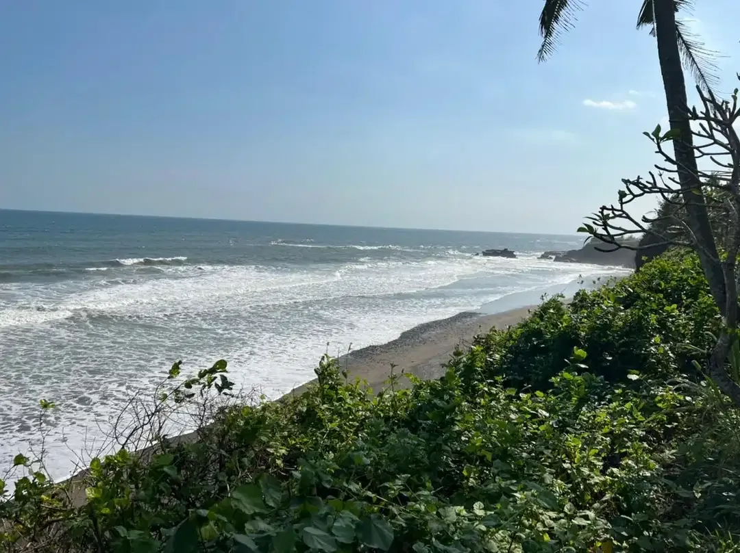 DIJUAL TANAH PREMIUM BEACHFRONT DI TABANAN - Image 3 of 10