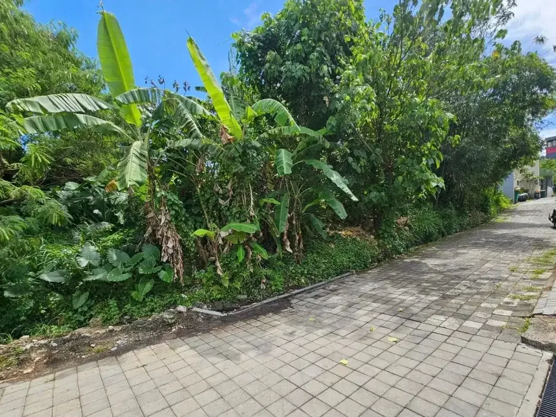 Tanah padang linjong canggu - Image 2 of 8