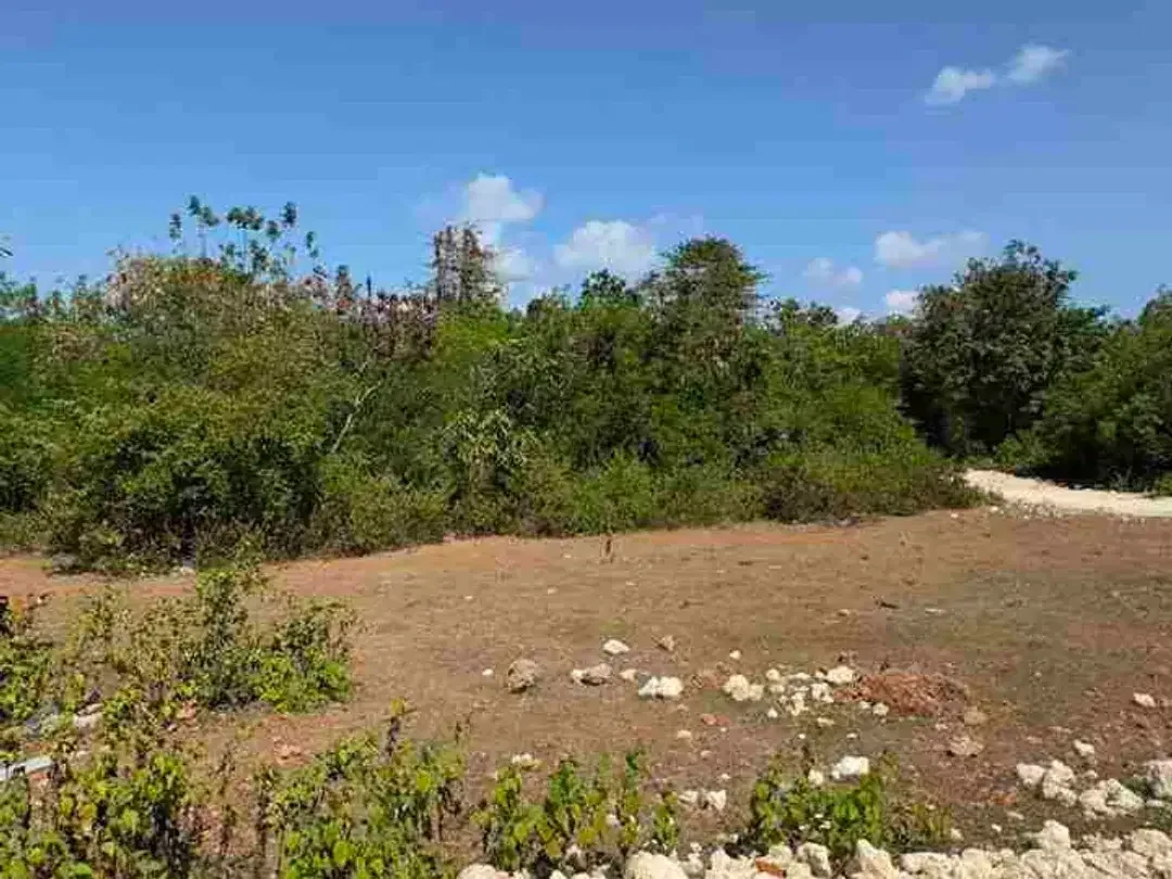 Dijual Tanah Murah 800m2 Posisi Hook Untuk Investasi - Image 3 of 8