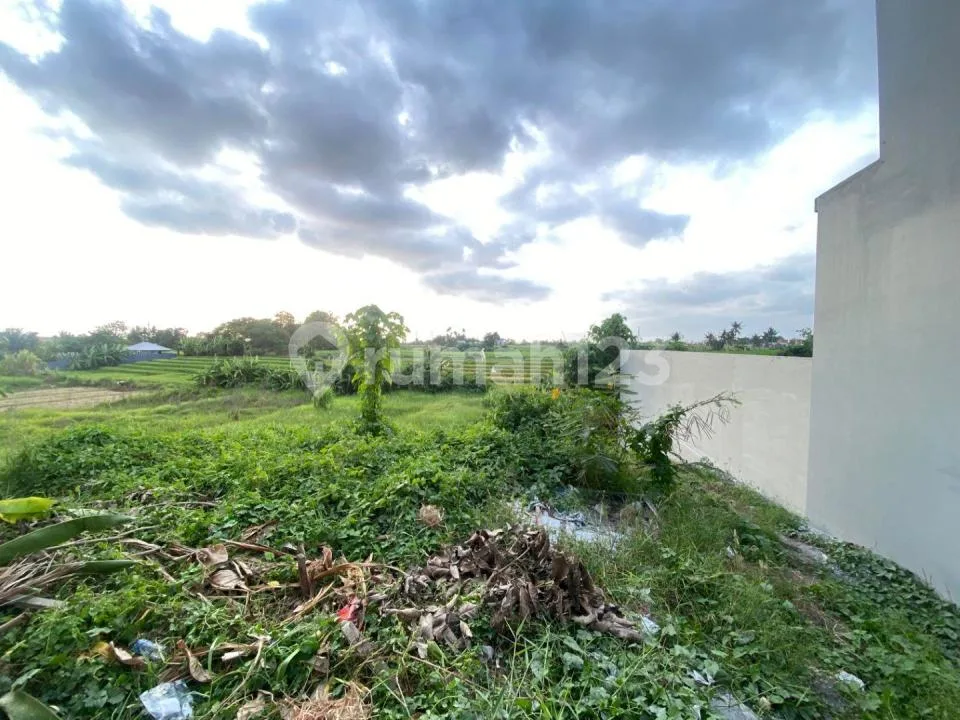 Tanah 7 Are View Sawah Abadi di Pantai Nyanyi Tabanan Dekat ke Pantai Area Villa Zona Kuning - Image 1 of 4