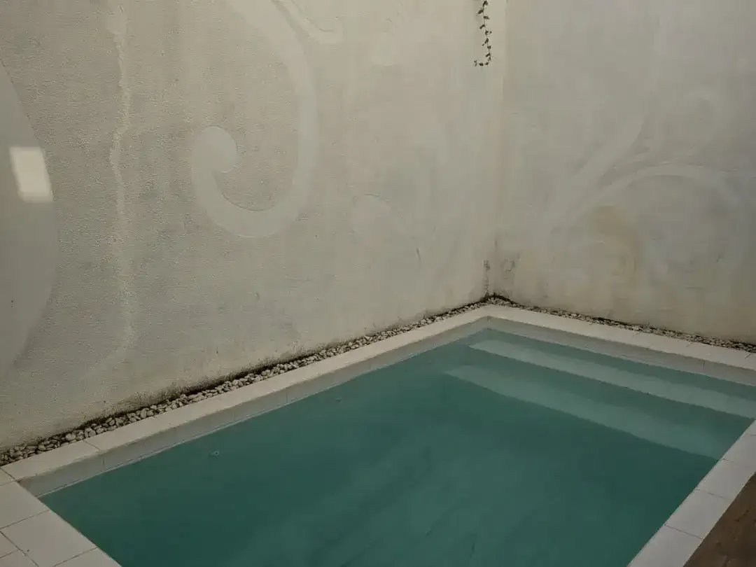 Di jual rumah dekat dengan seminyak dan Canggu bali - Image 9 of 10