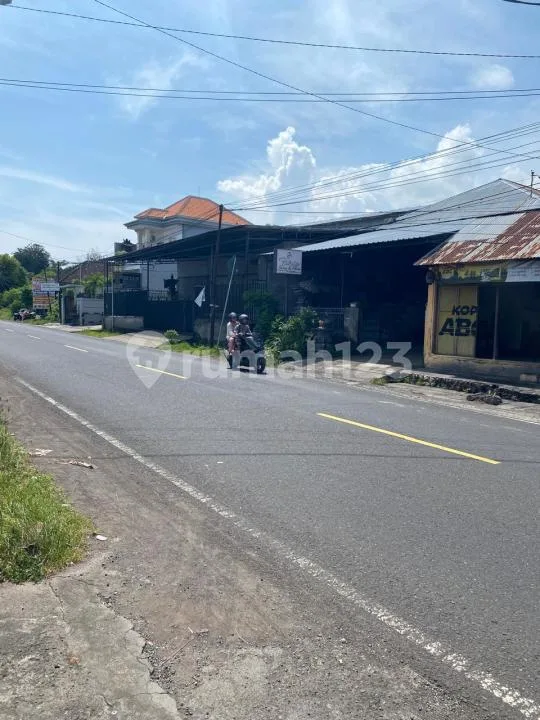 Rumah Warung Luas 400mÂ² Pinggir Jalan Raya Singaraja Kubutambahan - Image 4 of 4