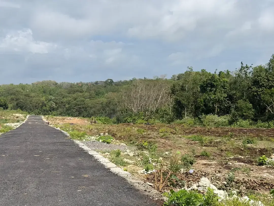 Dijual Tanah 250m2 Jungle View Zona Pariwisata Nusa Dua Bali - Image 8 of 10
