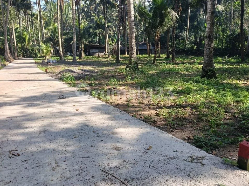 For Sale Land In Central Candidasa 10 Are Just Walking Distance To The Beach - Image 1 of 4