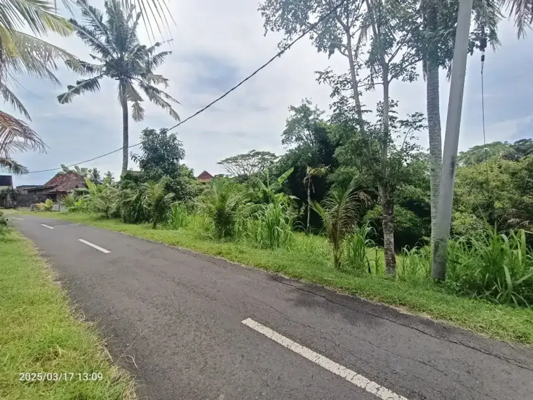 Tanah View Sungai dan Jungle Dekat Pantai Antap Alam Lestari Bali - Image 6 of 6