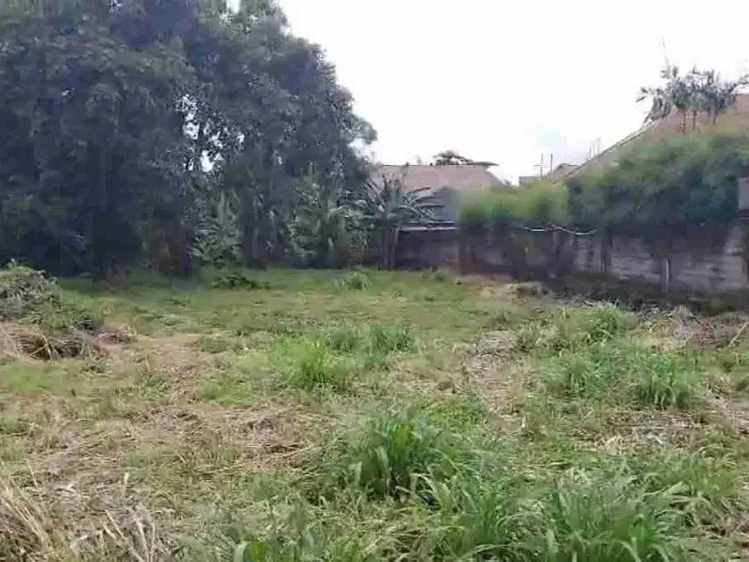 Lahan premium padang galak los Sungai SHM ready zona Pariwisata atau Pink lingkungan asri sangat bagus untuk Komplek villa komersil - Image 9 of 10