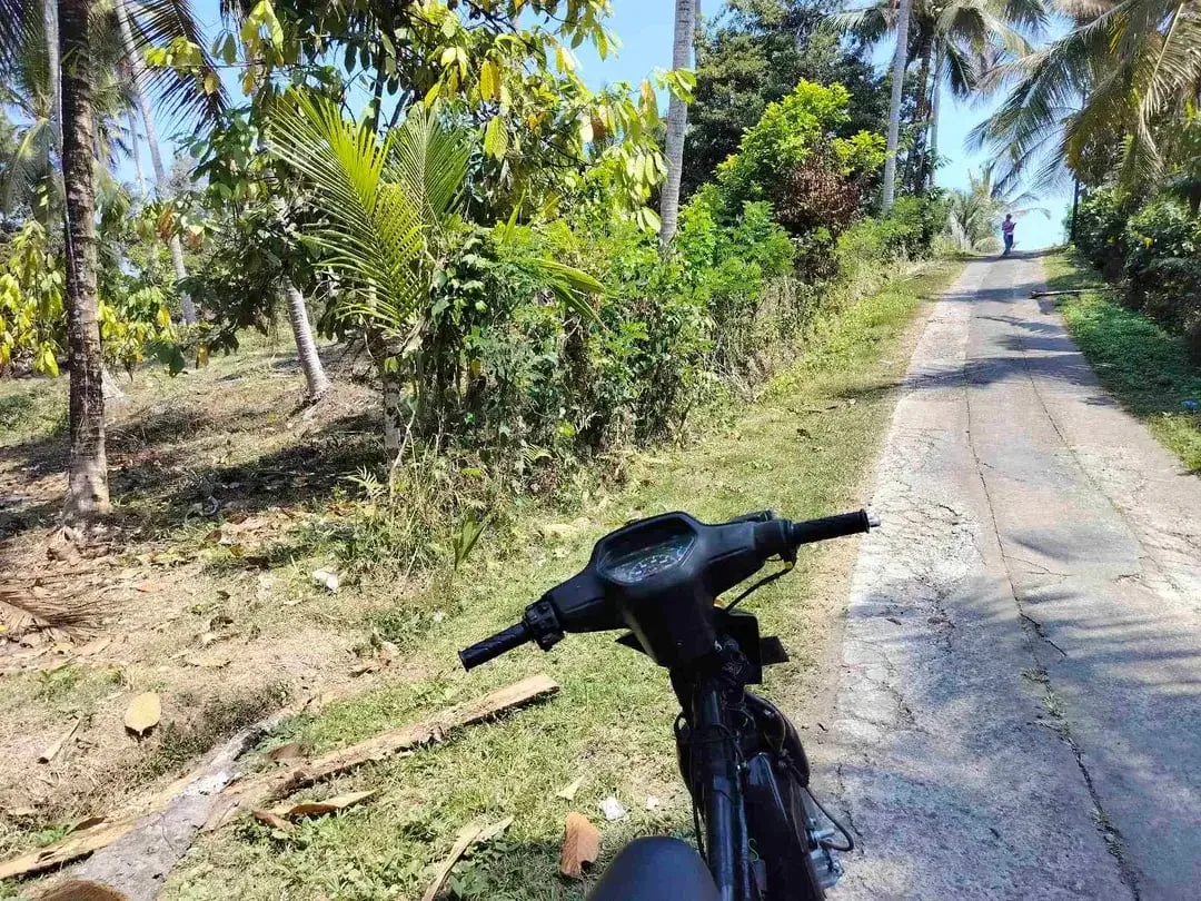 jual tanah 98 are harga 20 jt/ are.lok bonian selemadeg barat - Image 7 of 8