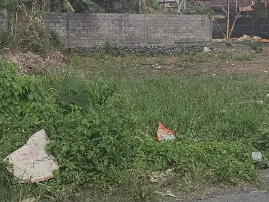 Dijual tanah kosong lokasi buduk dekat canggu/tumbak bayuh/pererenan/munggu - Image 1 of 5