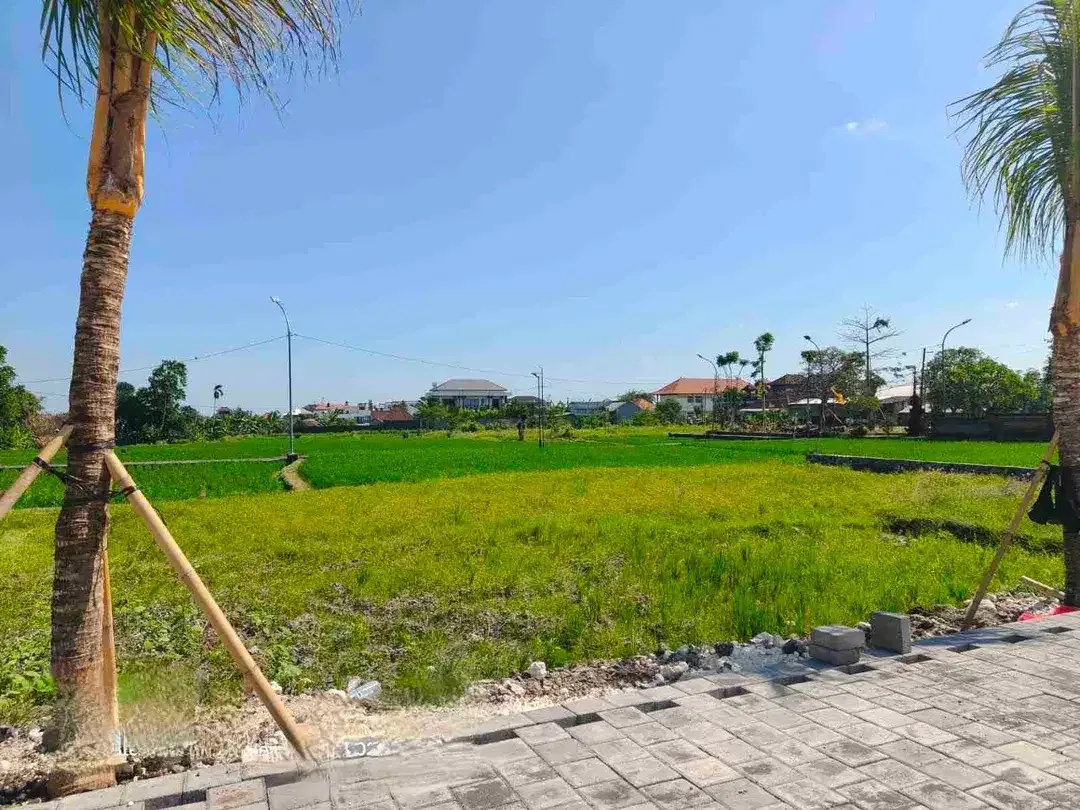 Di jual tanah kaplingan aspek perumahan di buduk dengan view sawah dan tidak jauh ke arah Canggu - Image 5 of 6