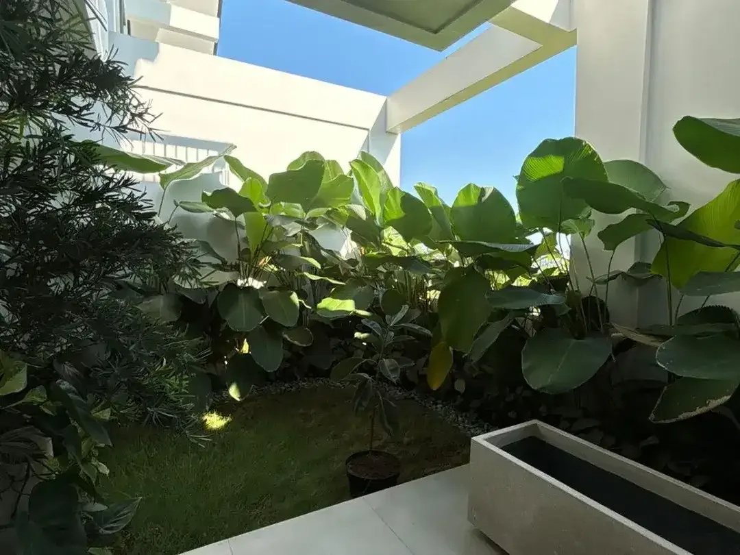 VILLA READY 3BR VIEW SAWAH ABADI PREMIUM LOKASI DI CANGGU PUSAT - Image 8 of 10