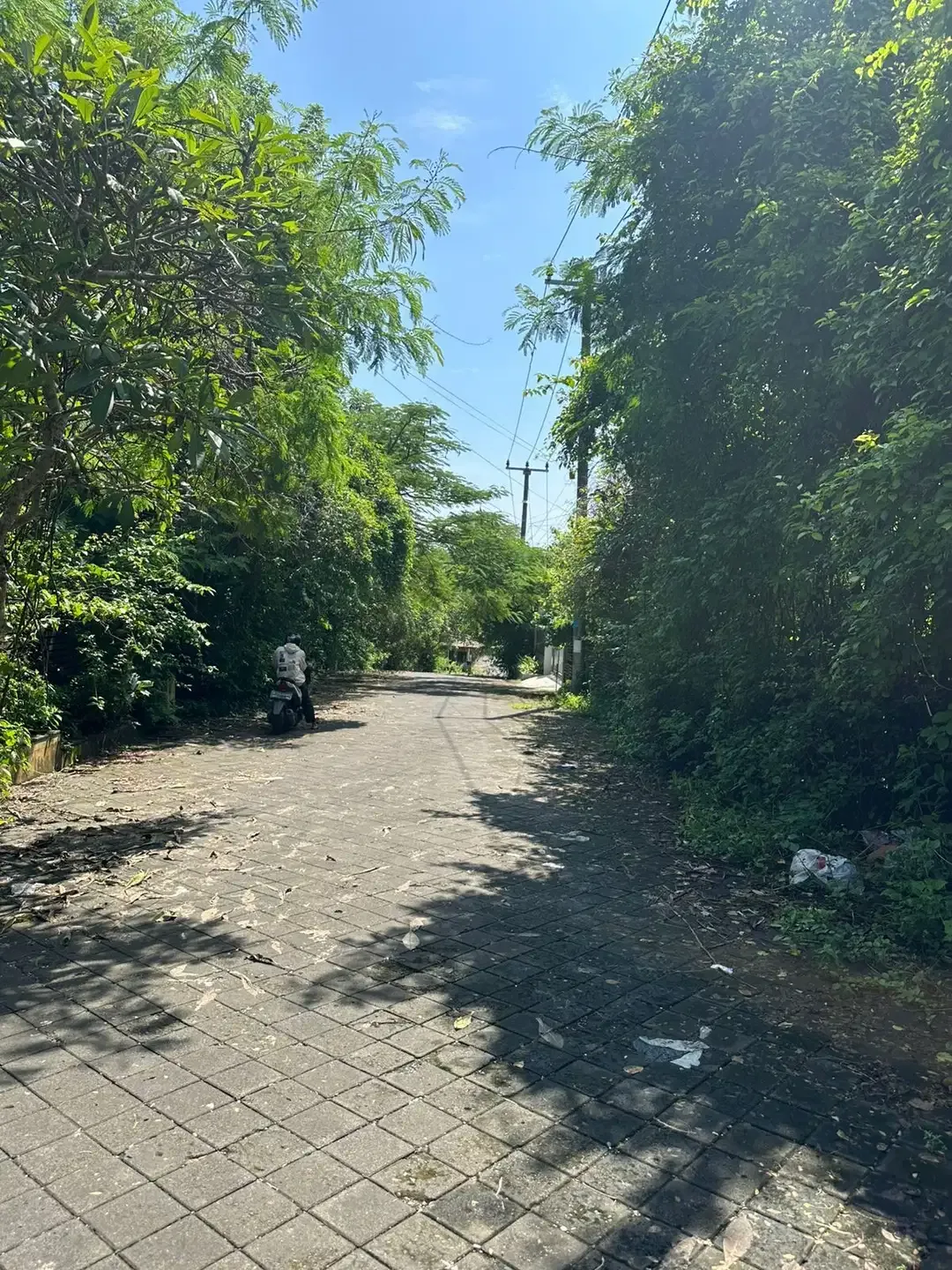 Di Jual Tanah Premium Kawasan Villa Di Jl. Taman Kebo Iwa, Benoa Kuta - Image 5 of 8