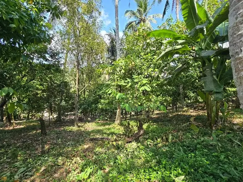 DIJUAL TANAH LOS SUNGAI di tabanan bali BEBATUAN - Image 5 of 10