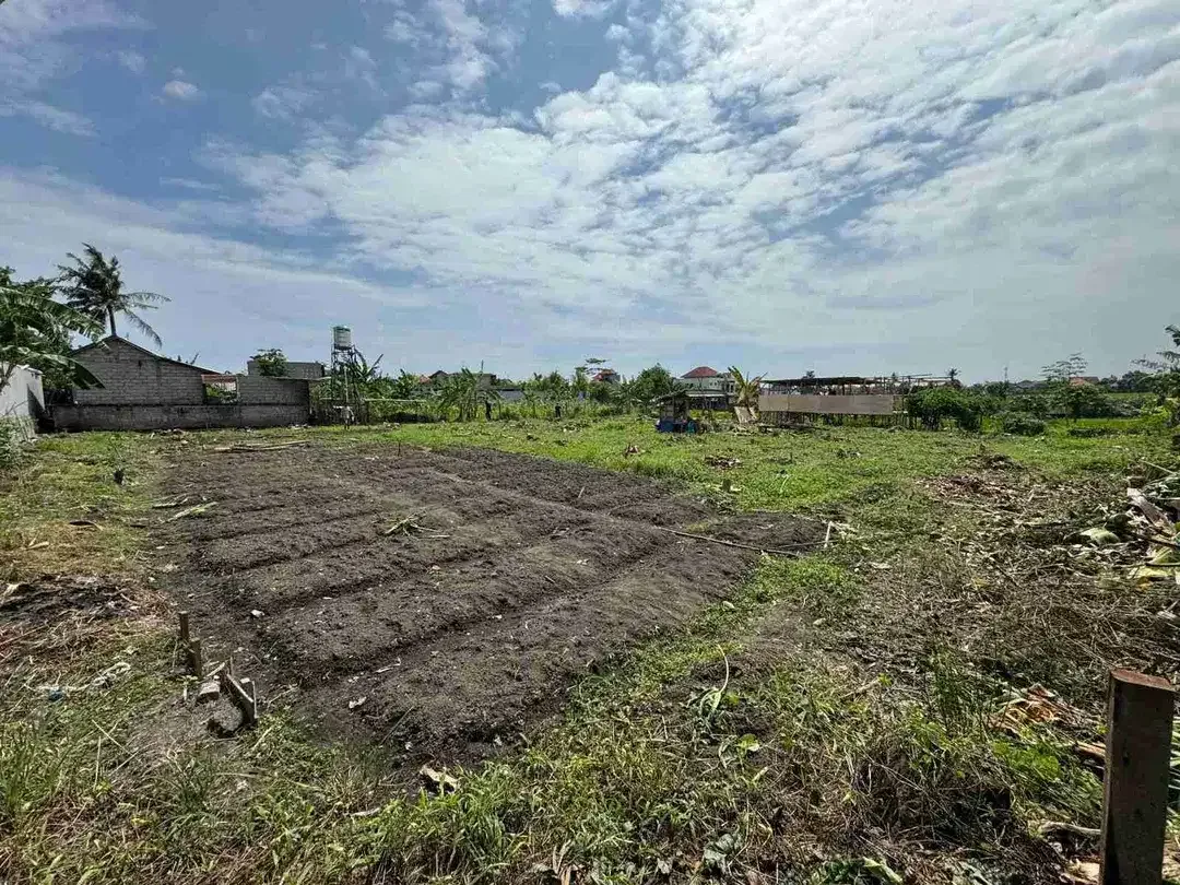 Tanah View Sawah Luas Strategis di Canggu Padonan - Image 9 of 10