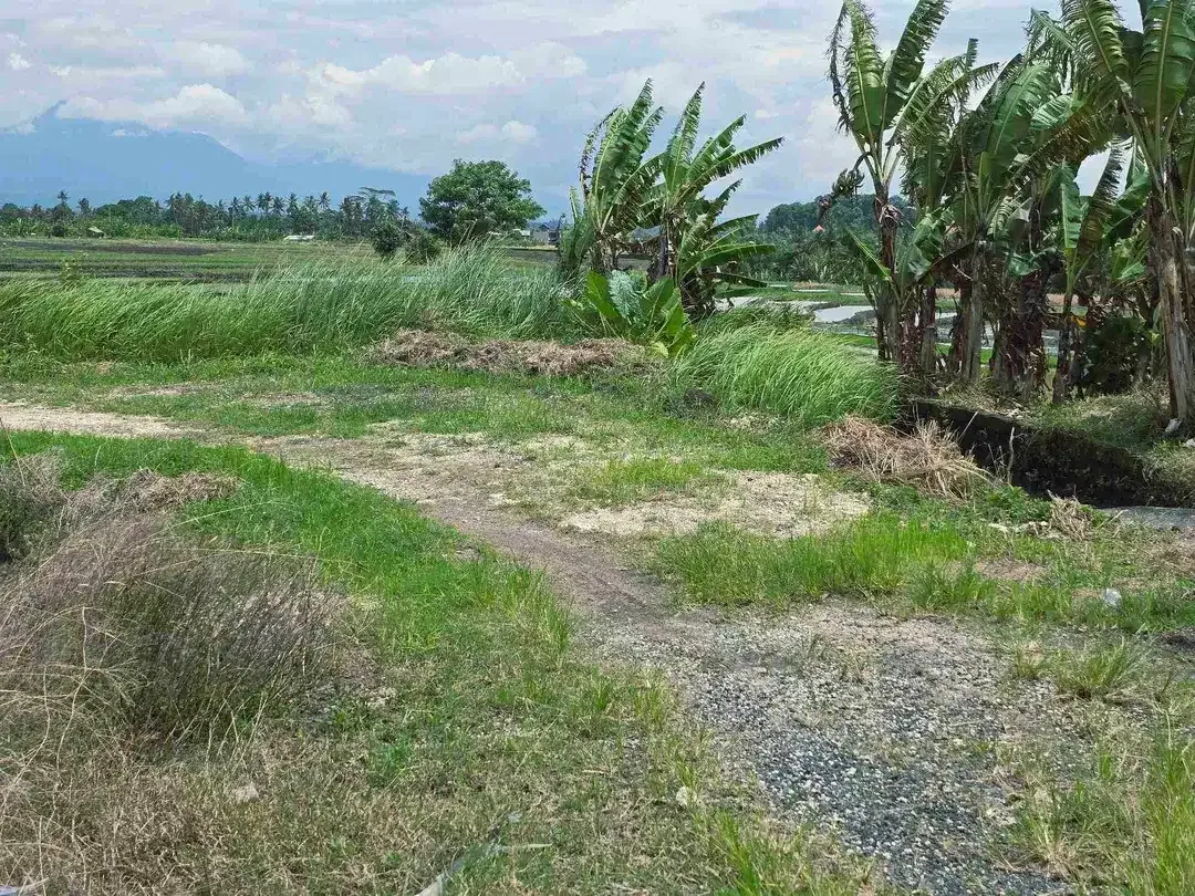 Dijual tanah view laut dekat pantai pasut di tabanan bali - Image 5 of 10