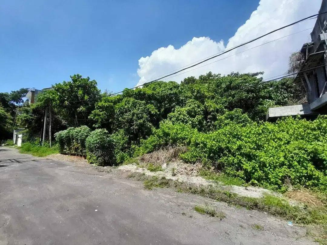 JUAL TANAH SHM PINGGIR PANTAI DI KETEWEL - Image 4 of 7