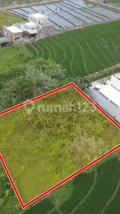 Tanah Premium Dekat Pantai Nyanyi Tabanan (Sy) - Image 3 of 4