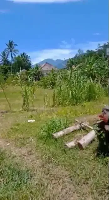 DIJUAL TANAH PINGGIR JALAN RAYA BATURITI BEDUGUL - Image 2 of 7
