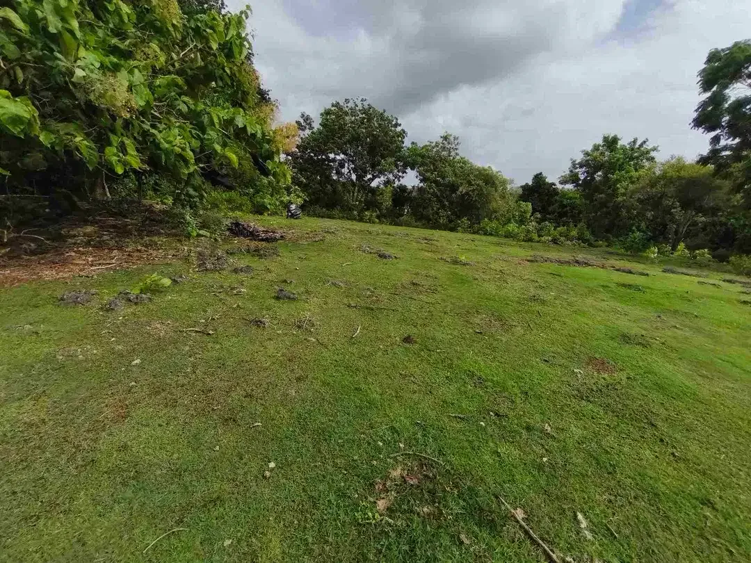 dijual tanah 1430m² IDR 750 juta per are kawasan pantai balangan jimbaran - Image 4 of 10
