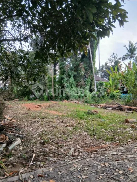 Tanah Plot Kecil Singakerta Ubud - Image 3 of 4