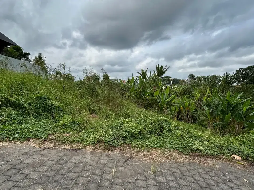 DIJUAL TANAH MURAH TABANAN – FULL VIEW - Image 3 of 6