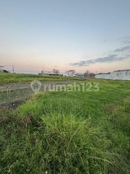 Tanah Kosongdi Seseh Badung Dekat Pantai Seseh - Image 1 of 4