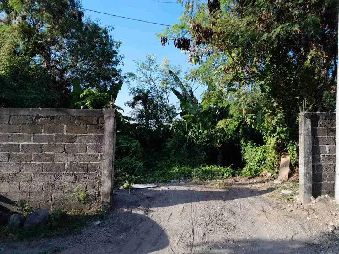 DIJUAL TANAH PADONAN DEKAT CANGGU - Image 5 of 10