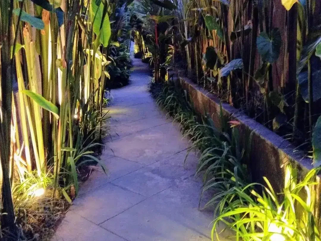 Hotel canggu bali - Image 4 of 10