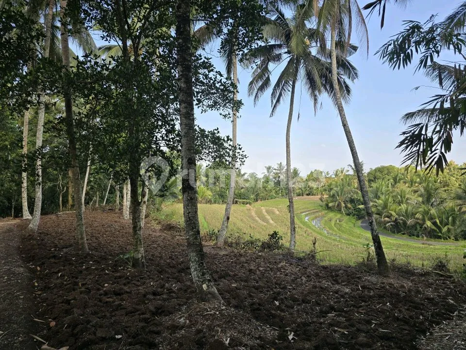 Butuh Uang Cepat Tanah Dijual Murah dengan Wiew Sawah di Tababan Bali - Image 2 of 4