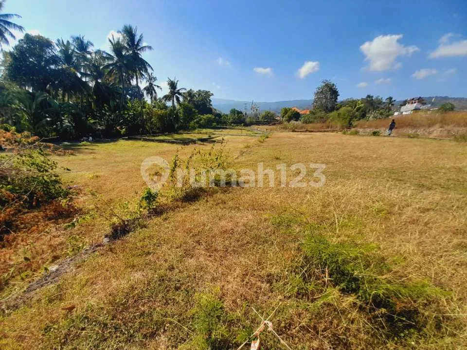 For Sale Tanah View Gunung Close To Central Lovina - Image 3 of 4