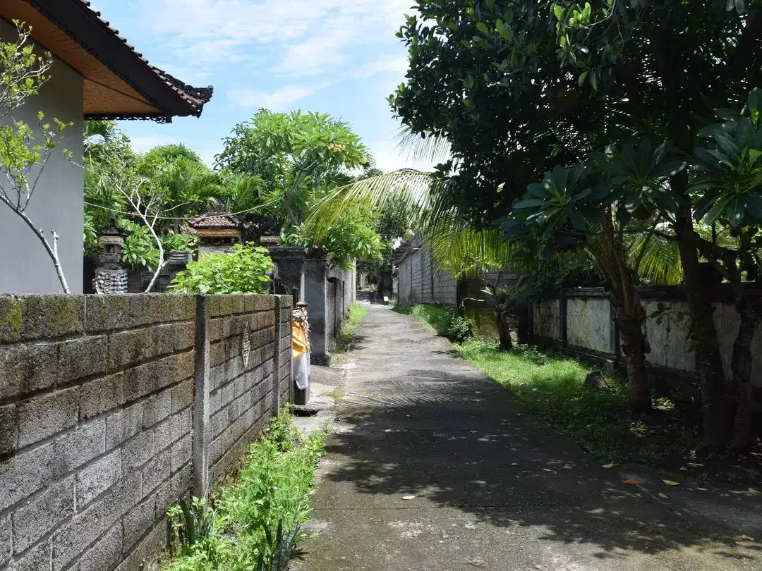 Dijual Tanah di Buleleng Dekat Pantai Lovina - Image 10 of 10