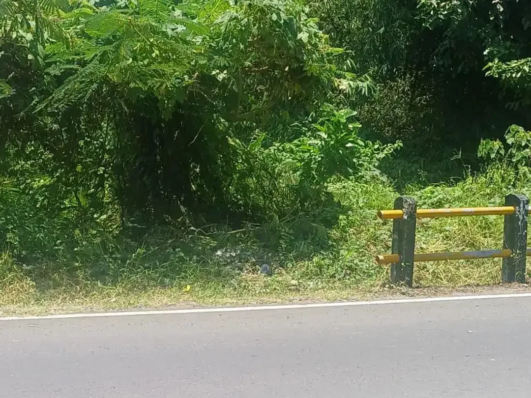 Di Jual Tanah View Sawah - Sempol, Pererenan - Image 5 of 6