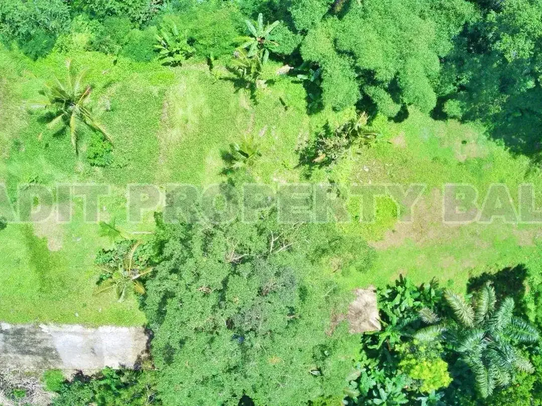 Tanah View Jungle & Sungai Payangan Ubud Gianyar Bali - Image 4 of 10
