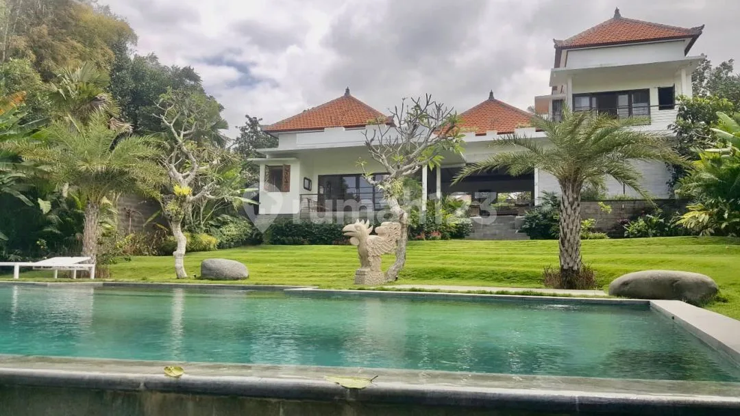 Luxury Villa Spacious Garden - - Image 2 of 4