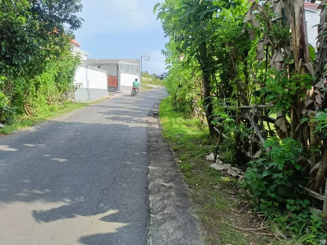 Dijual Tanah Strategis 48,4 Are SHM Zona Permukiman Dekat Beranda Bukit Kutuh, Kuta Selatan – Cocok untuk Villa, Cluster, dan Investasi - Image 5 of 9
