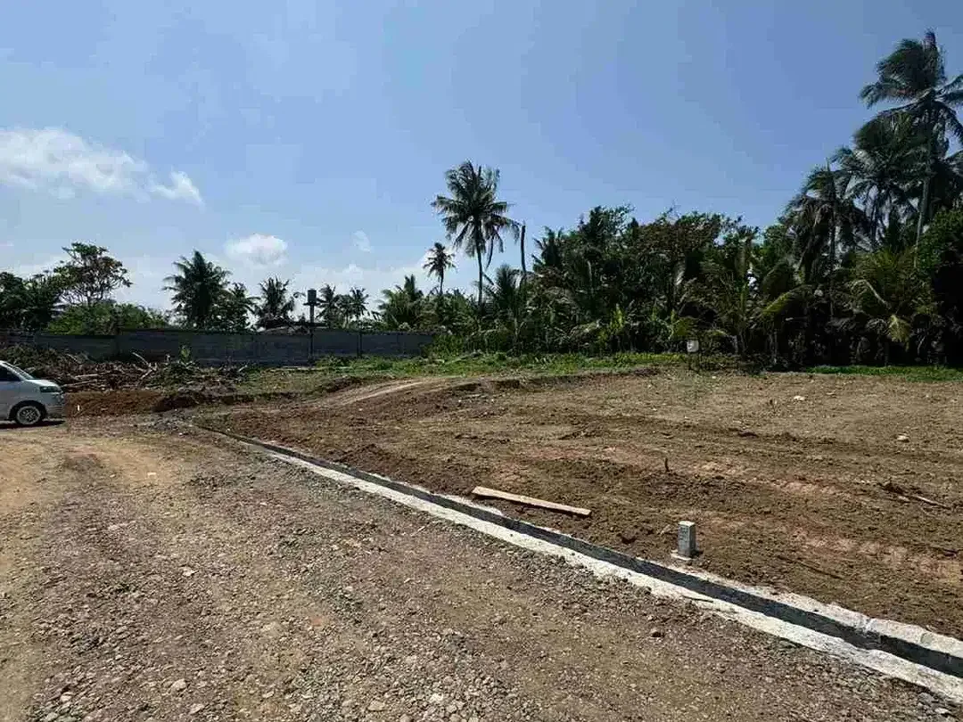 Tanah 300m² View Jungle di Sakah Ubud Gianyar - Image 3 of 10