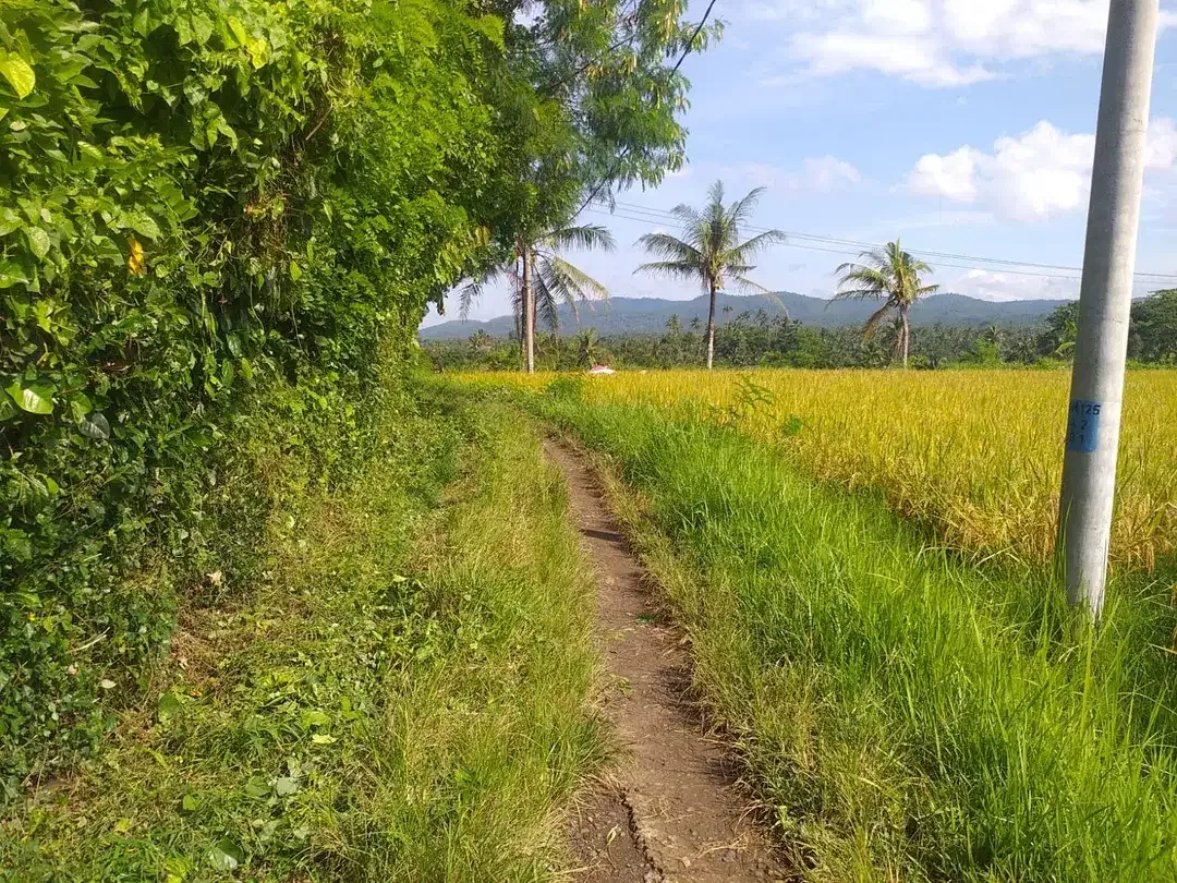 Land with a beautiful view of Soka Beach Road - Image 3 of 5