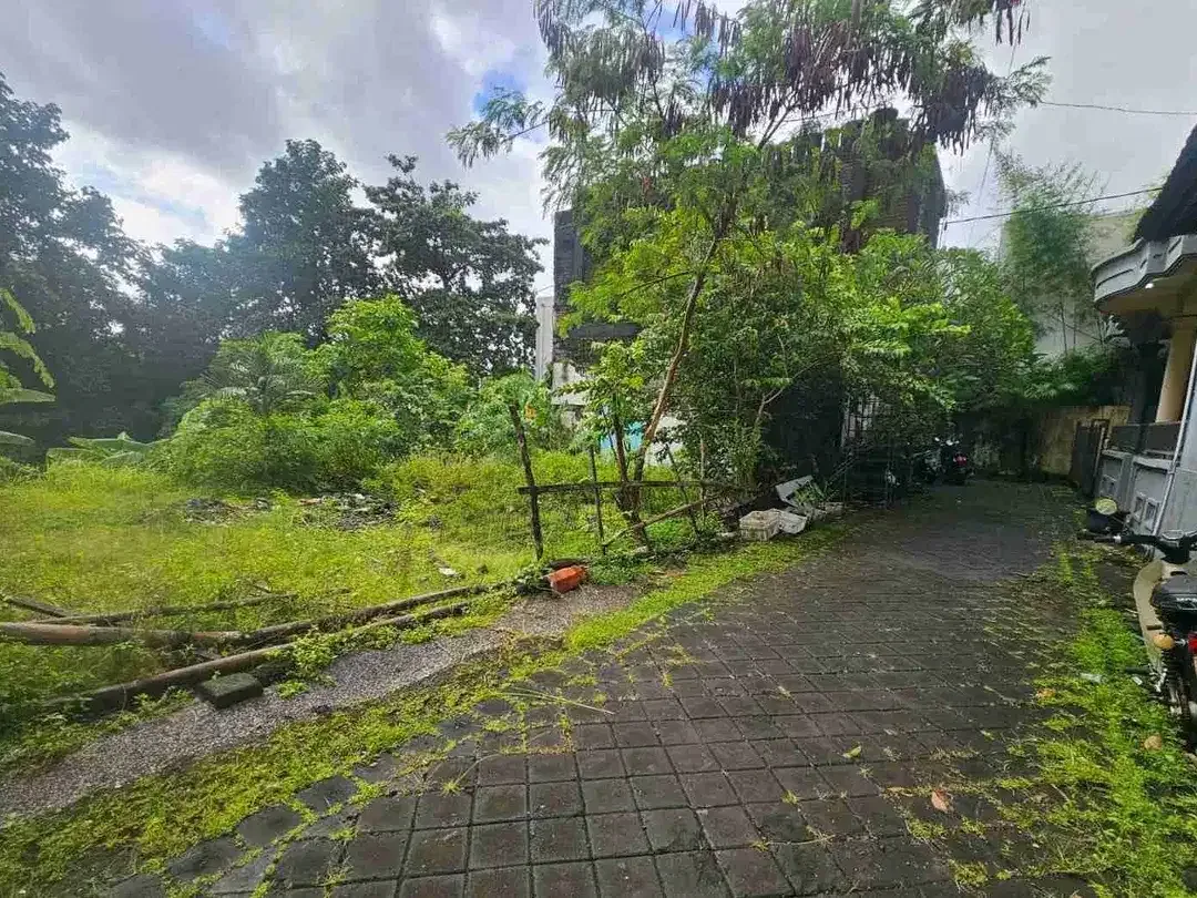 Tanah Tegal cupek umalas bali - Image 6 of 7