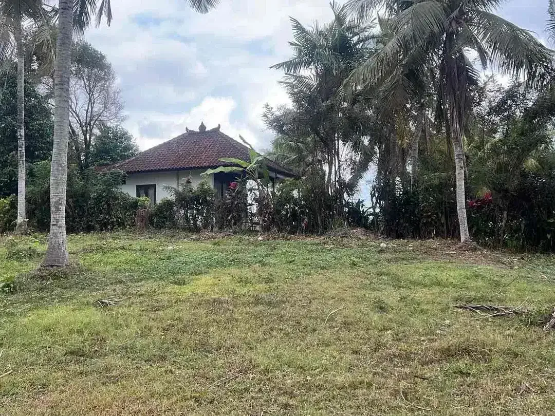SALE 20,5 Are 100 Meter dari Balian Beach - Image 4 of 9