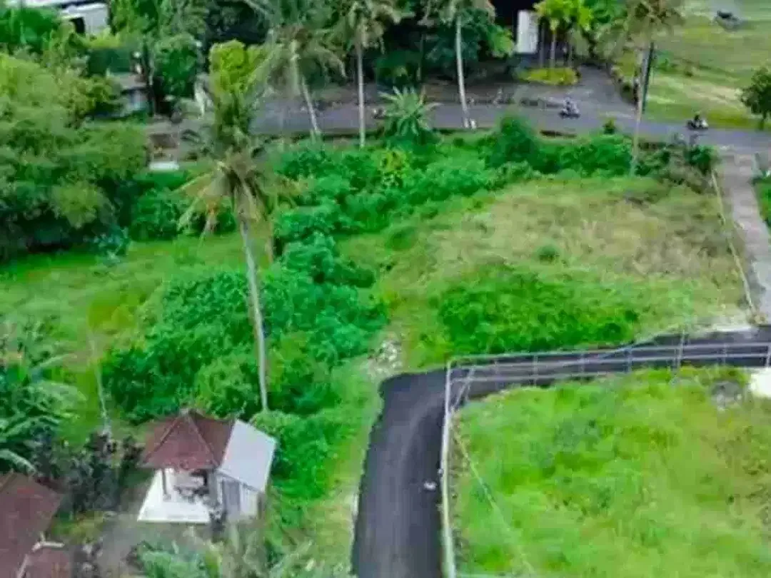 Kavling Strategis Kawasan Villa Mewah Ubud - Image 3 of 9