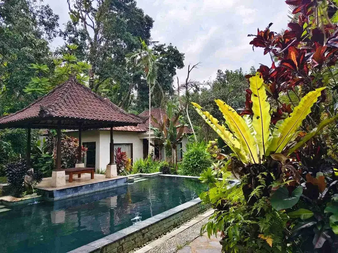 Tanah bonus bangunan hotel kedewatan ubud Bali - Image 8 of 10