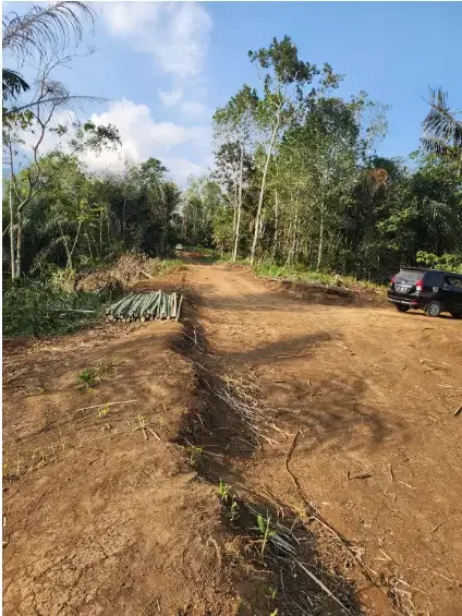 Tanah kavling murah kebun durian penebel Tabanan - Image 5 of 8