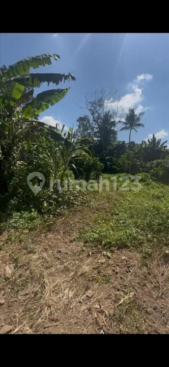Tanah 5 Are Termurah di Mas Ubud Zona Kuning - Image 3 of 4
