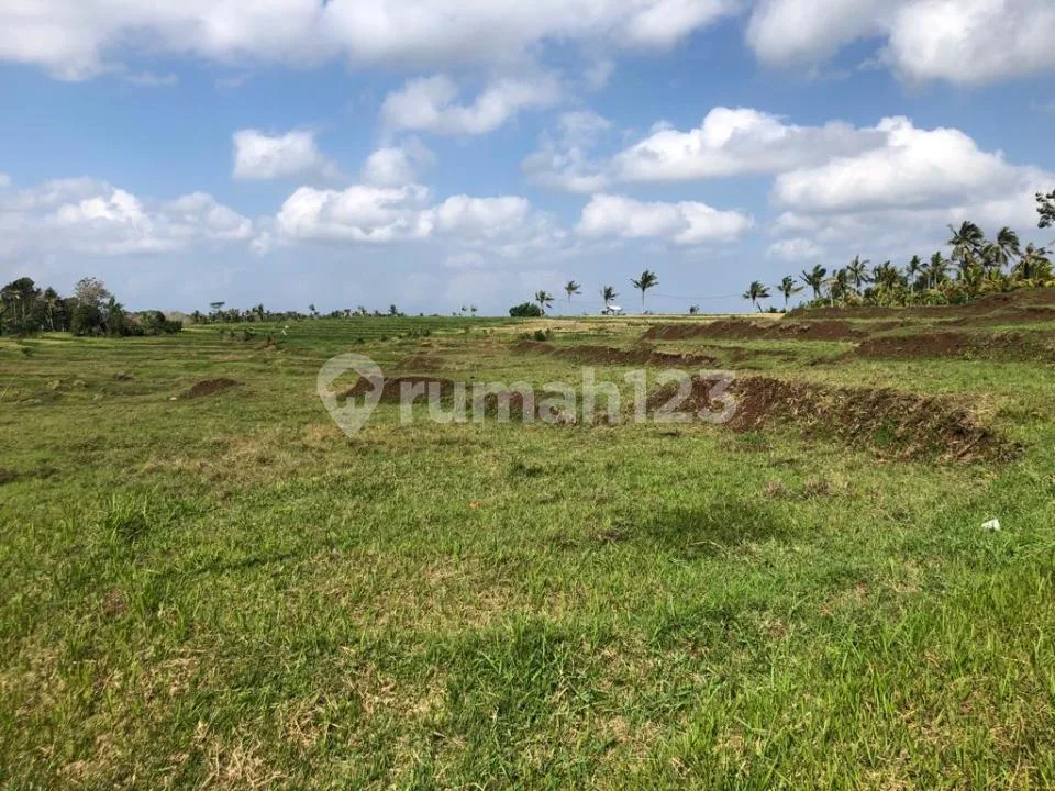 Tanah di Warnasari Jembrana Bali Untuk Perkebunan Dan Peternakan - Image 1 of 4