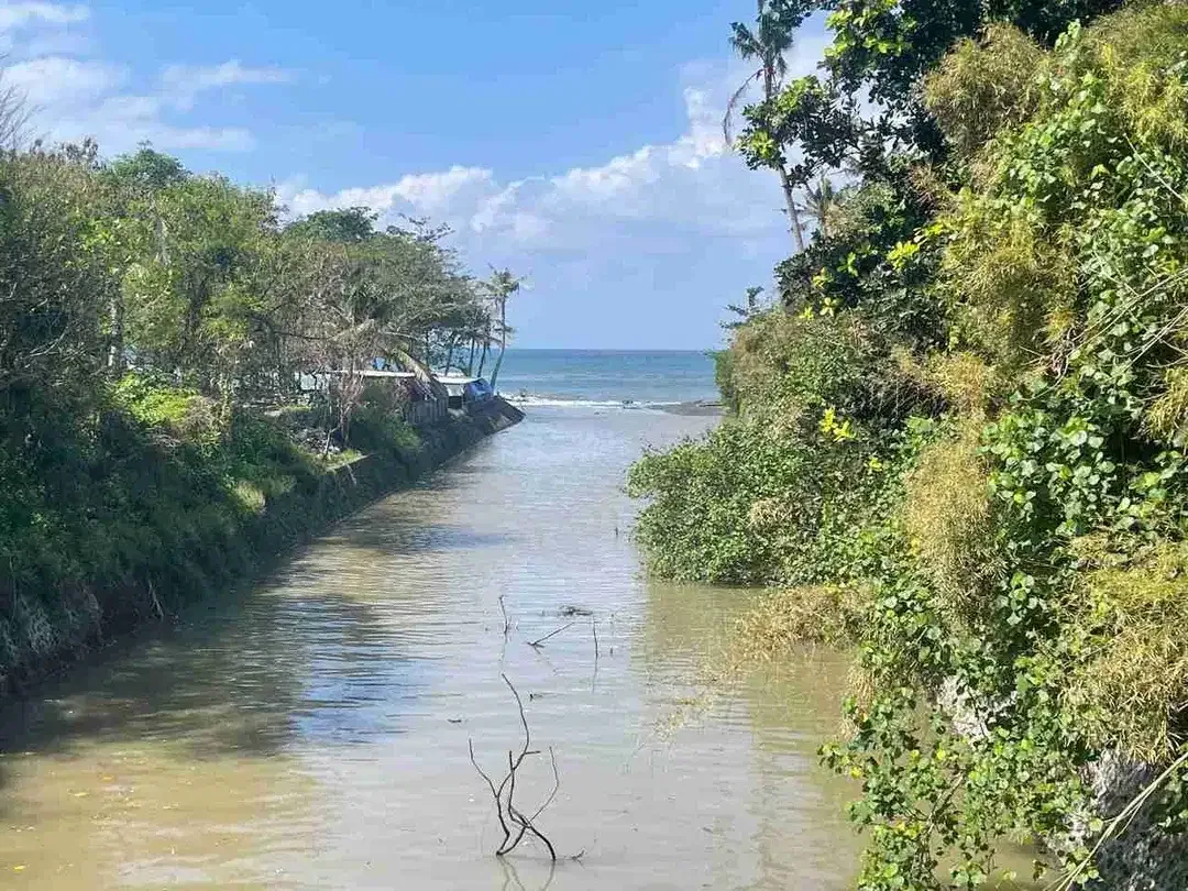 Tanah Pariwisata Los Sungai View Laut Gianyar - Image 3 of 10