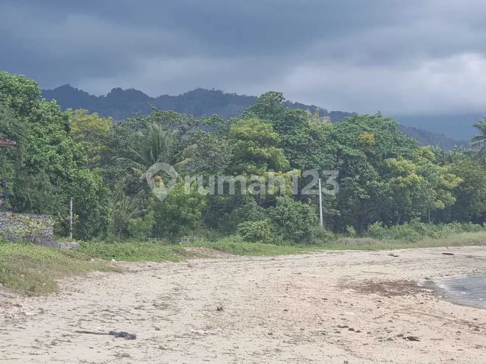55 Juta Per Are 2,38 Ha Pasir Putih Beachfront Land Buleleng Bali - Image 3 of 4