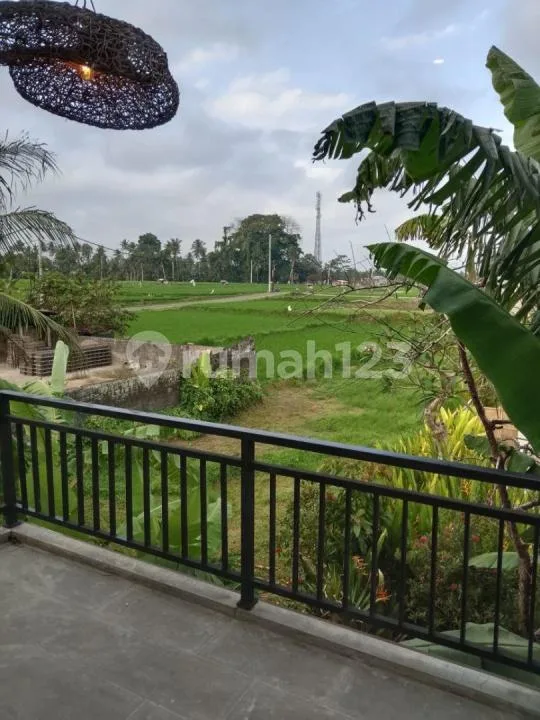 For Rent Villa Rice Field View 5 Menutes From Rusters Kafe Sayan 12 Minutes From Mongkey Forest Center - Image 4 of 4